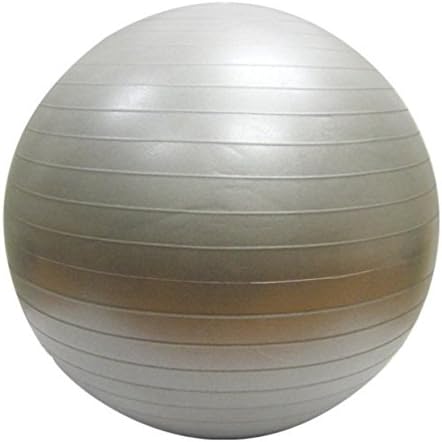 Exercise Ball with Pump Fitness Ball by nama stayfit, Gym Quality 65cm (Gray)