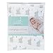 aden by aden + Anais Changing Pad Covers, Baby Star