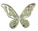 Fairy Wing Shoe Shwings