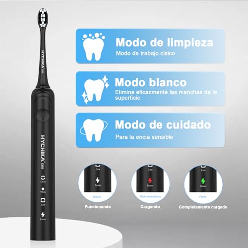Sonic Electric Toothbrush for Adults, Rechargeable 240 Days Battery Life with 2500 mAh, 8 Replacement Heads, 3 Cleaning Modes and IPX7 Waterproof, Black