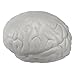 Brain Stress Toy - Gray by Ariel