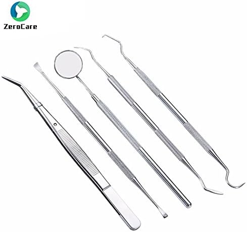 5 Pcs Dentist Tool Teeth Clean Tweezer Scraper Scaler Mirror Dental Probe Dental Hygiene Oral Teeth Whitening With Case, Personal Oral Care &amp; Pet Use
