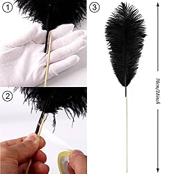 VIJIV Natural Purple Large Ostrich Feathers Bulk 10