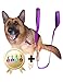 Lambow Jet Storm 8.2 Feet Double Handled Dog & Horse Leash with Tag, Purple