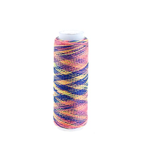 DINGJIN 10 Pcs Rainbow Color Sewing Thread DIY Embroidery Sewing Yarn Knitting Thread (Each 120 Yards)