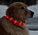 Floppy Ears Design USB Rechargeable LED Light-Up Safety Neck Loop, One Size fits Dogs 13” to 24”, Orange