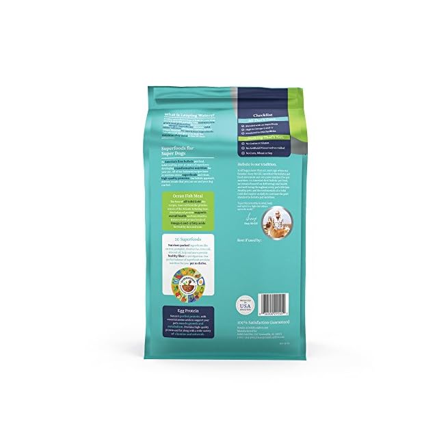 solid gold leaping waters