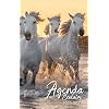 Agenda Scolaire 2022-2023 Chevaux: Un superbe organiseur journalier illustré ( les chevaux blancs camarguais) 1 page par jour pour les éléves … BTS ou les étudiant de faculté │ Fille garçon Broché – Organisateur, 12 mai 2022