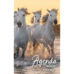 Agenda Scolaire 2022-2023 Chevaux: Un superbe organiseur journalier illustré ( les chevaux blancs camarguais) 1 page par jour pour les éléves … BTS ou les étudiant de faculté │ Fille garçon Broché – Organisateur, 12 mai 2022