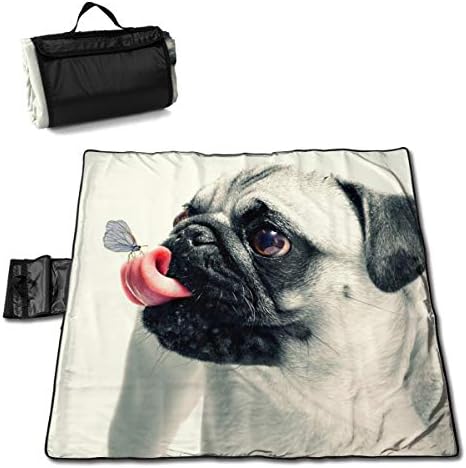 レジャーシート 折り畳めるピクニックマット 子供クロールマット 防水防湿パッド プラスベルベット厚く 150x145cm かわいい英語ブルドッグ オールシーズン利用可能 公園マット キャンプマット 砂マット 超軽くて便利なアルミ膜マット Teamdriven Us