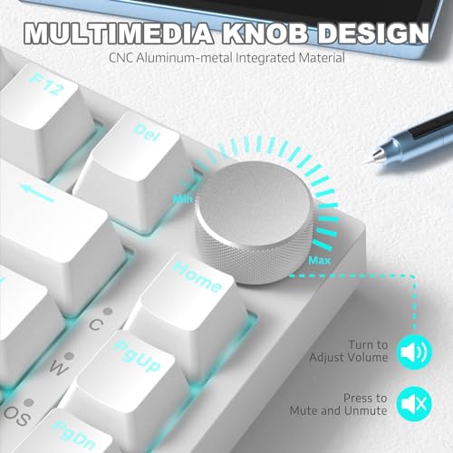 ATTACK SHARK Ajazz AK820 Mechanical Keyboard with with CNC Knob Control,75% Gasket Mount Keyboard and Detachable USB Wired Gaming Keyboard for Wind/Mac,Blue Light,NKRO,Blue Clicky Switch(White)