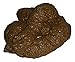 JA-RU Fake Poop Toy (1 Pack) Toilet Prank Toys, Practical Jokes & Gag Gifts for Kids. Realistic Dog & Cat Poo. Funny Office Pranks. April Fools Day Funny Toys. 1379-1A