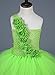 Tutu Dreams Fairy Princess Flower Girl Dress Costumes for Teens Birthday Party Halloween Outfits (XL, Lime Green)
