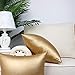 BRAWARM Faux Leather Throw Pillow Covers 18 X 18 Inches - Gold Leather Pilow Covers Pack of 2, Solid Dyed Leather Pillowcases for Couch Bed Sofa Garden Home Decorative