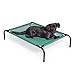 Amazon Basics Elevated Cooling Pet Bed, Medium, Old Sizing