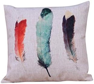 OUBAO Bed Sofa Decorative Colorful Feather Pillow Case Cushion Cover (B)