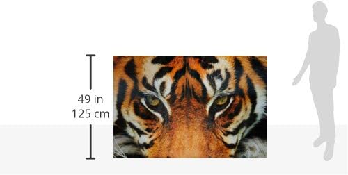 WALPLUS Jungle Gaze Wall Stickers, Vinyl, Multi-Colour, 5 x 117 x 5 cm - Image 3