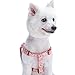 Blueberry Pet 9 Patterns Step-in Spring Scent Inspired Floral Rose Baby Pink Dog Harness, Chest Girth 16.5