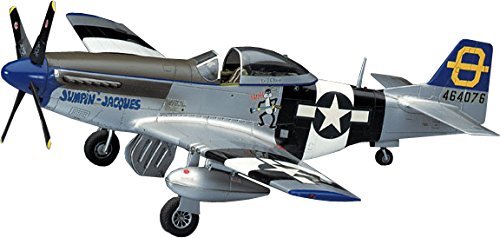 Hasegawa 1/48 P-51D Mustang