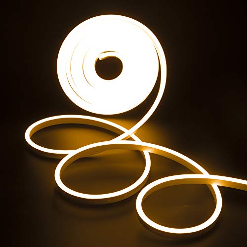 Brillihood 5M/16.4Ft LED Neon Rope Light, 12V Flexible Strip Light, Warm White,SMD 2835 600 LEDs, Dimmable, IP67 Waterproof, UL-Listed Silicon Neon Lighting for Indoor & Outdoor Decoration