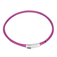 LAIHUI Colorful Rechargeable USB Waterproof LED Flashing Light Band Safety Pet Dog Collar (Purple)