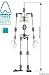 Anibild® Three Professional Armature