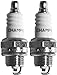 Champion RCJ4-2PK Copper Plus Small Engine Spark Plug Stock # 893 (2 Pack)