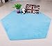WERSHOW Hexagon Coral Rug Pad Mat for Princess Castle Playhouse for Girls Children Play Tent Indoor and Outdoor Fun (Blue)