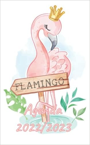 Agenda 22 23 Agenda Scolaire Journalier Emploi Du Temps Calendrier Planificateur French Edition Les Agendas Premium Editions Amazon Com Books