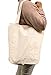 Earthwise Reusable Grocery Bags X-Large 100% Cotton Canvas Shopping Craft Beach Cloth Tote with Handles Biodegradable, Foldable and Eco Friendly Washable 20