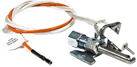 Ao Smith Natural Gas Replacement Part Pilot Assembly Amazon Com