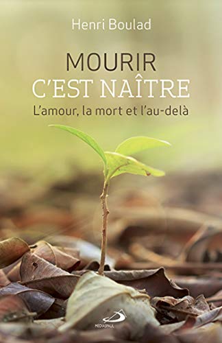 Mourir, c'est naître : L'amour, la mort et l'au-delà by Henri Boulad