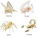 RuiyiF 3D Wooden Puzzles for Kids and Adults,4 Sets(Cricket+ Scorpion + Spider + Butterfly) DIY 3D Jigsaw Puzzles Assembly Model Kits Educational Toys Birthday Gifts-Insects