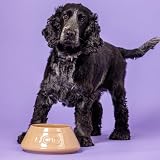 Mason Cash Cane Non Tip Dog Bowl 21 cm Ceramic Food Water Dish view 4