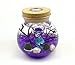 OMEM Aquarium Kits-Living Moss Ball,Valentine Gift Sea Fan, Gravel, Cone Seashell, Work Desk Decoration (Purple)