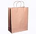 Natural Kraft Paper Bags, Shopping Bags-8x4.75x10.5 Inch-25 Pcs