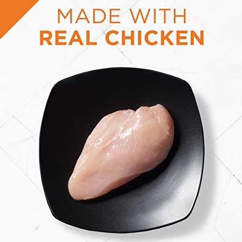 Purina Pro Plan Pate Wet Cat Food, Chunky Chicken Entree (24) 3 oz