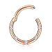 Zolure 16G Nose Hoop Rings 316L Surgical Stainless Steel Hinged Gemmed Seamless Septum Clicker Ring Eyebrow Tragus Lip Ear Ring BCR Gold