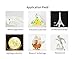 FLSUN 3D Printer Plus Prusa i3 Diy Kit Dual Nozzle Touch Screen Auto leveling Large 3D Printing Size Heated Bed Full Gifts