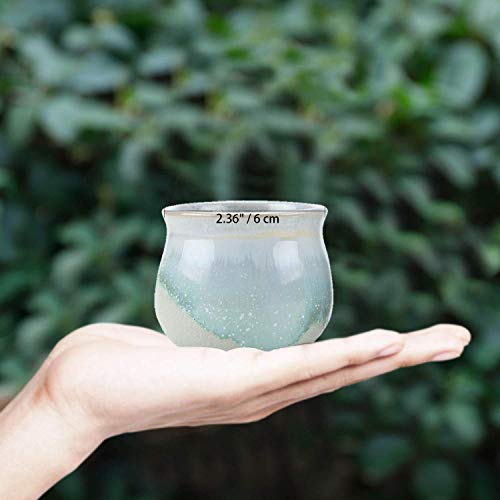 6 T4U+Ceramic+Flowing+succulent+Container