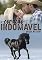 Livro Coração Indomável