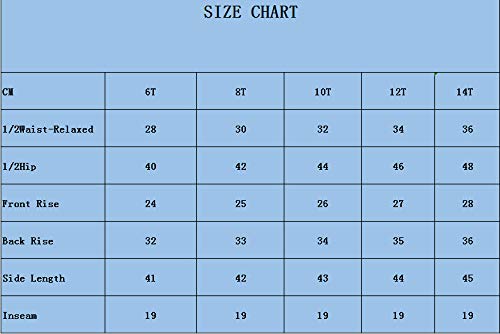 RAISEVERN Jungen 3D Print Grafik Mittlerer Länge Sommer Lässig Athletisch Strand Schwimmen Urlaub Surfen Shorts Cool Eagle 15 T Kinder