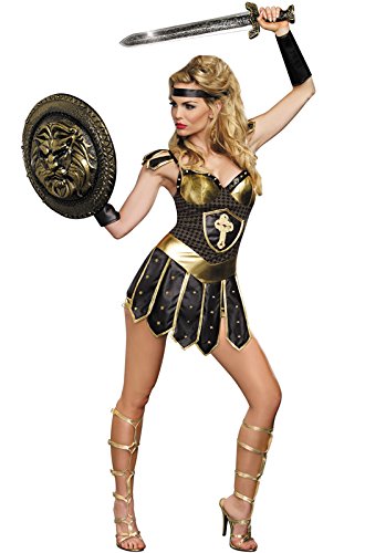 Queen Of Swords Warrior Costume