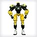NFL Green Bay Packers 10