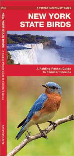 Download New York State Birds: A Folding Pocket Guide to Familiar Species (Pocket Naturalist Guide Series)