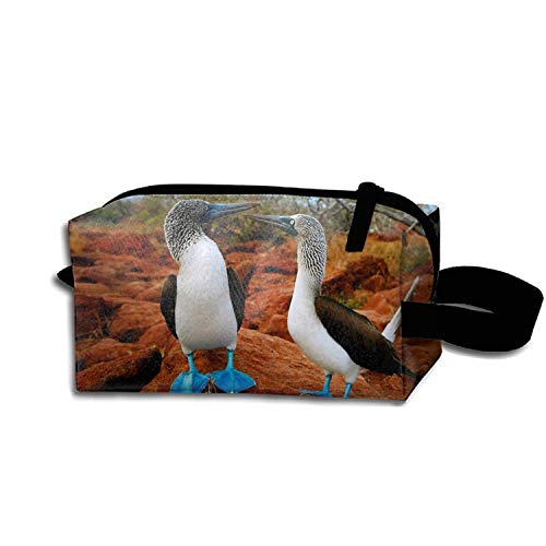 Pencil Pen Zipper Pouch Small Cosmetic Makeup Bags,Blue Footed Birds Style