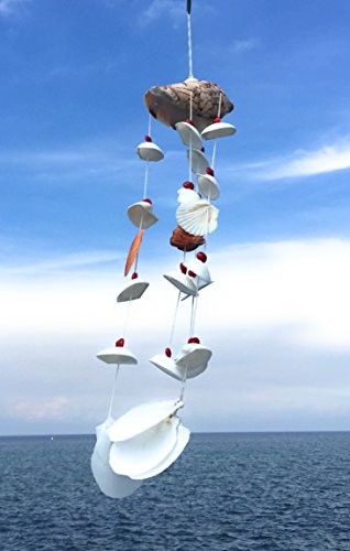 WD-Beautiful Seashell Wind chime Nautical Hanging - Noly shell top for room door window 19 inch