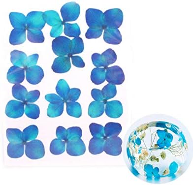 12pcs Blue Dyed Pressed Dried Hydrangea Flower Dry Plants Epoxy UV Resin Pendant Necklace Nail Art Jewelry Making Scrapbooking DIY