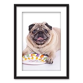 Framed Wall Art - Pug Birthday Cake Paper Plate - Black Picture Frames White Matting - 23x31 inches