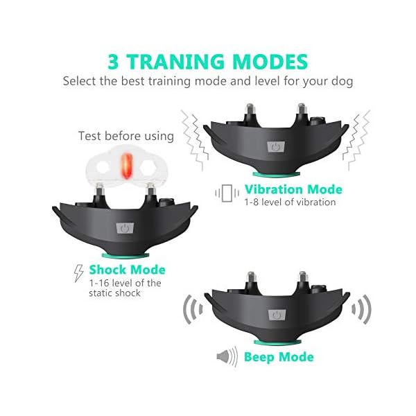 besthing dog training collar manual